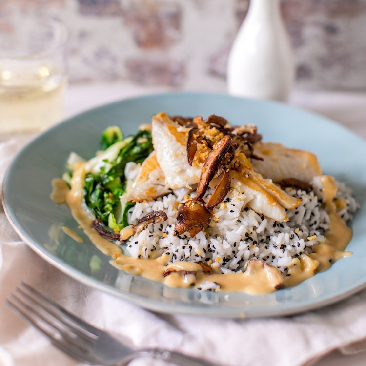 Picture of Miso-Glazed Redfish 